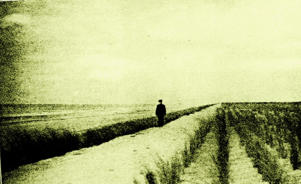 For Crowns of Pluto.