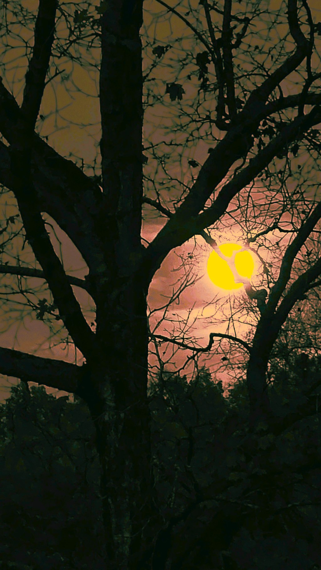 Harvest Moon